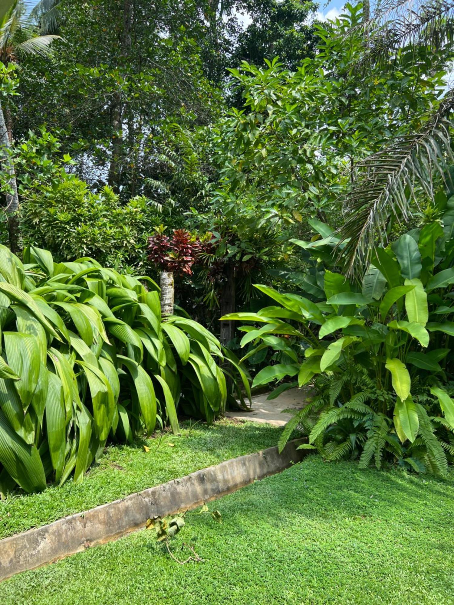 Medusa Bungalow - Galle Kültér fotó