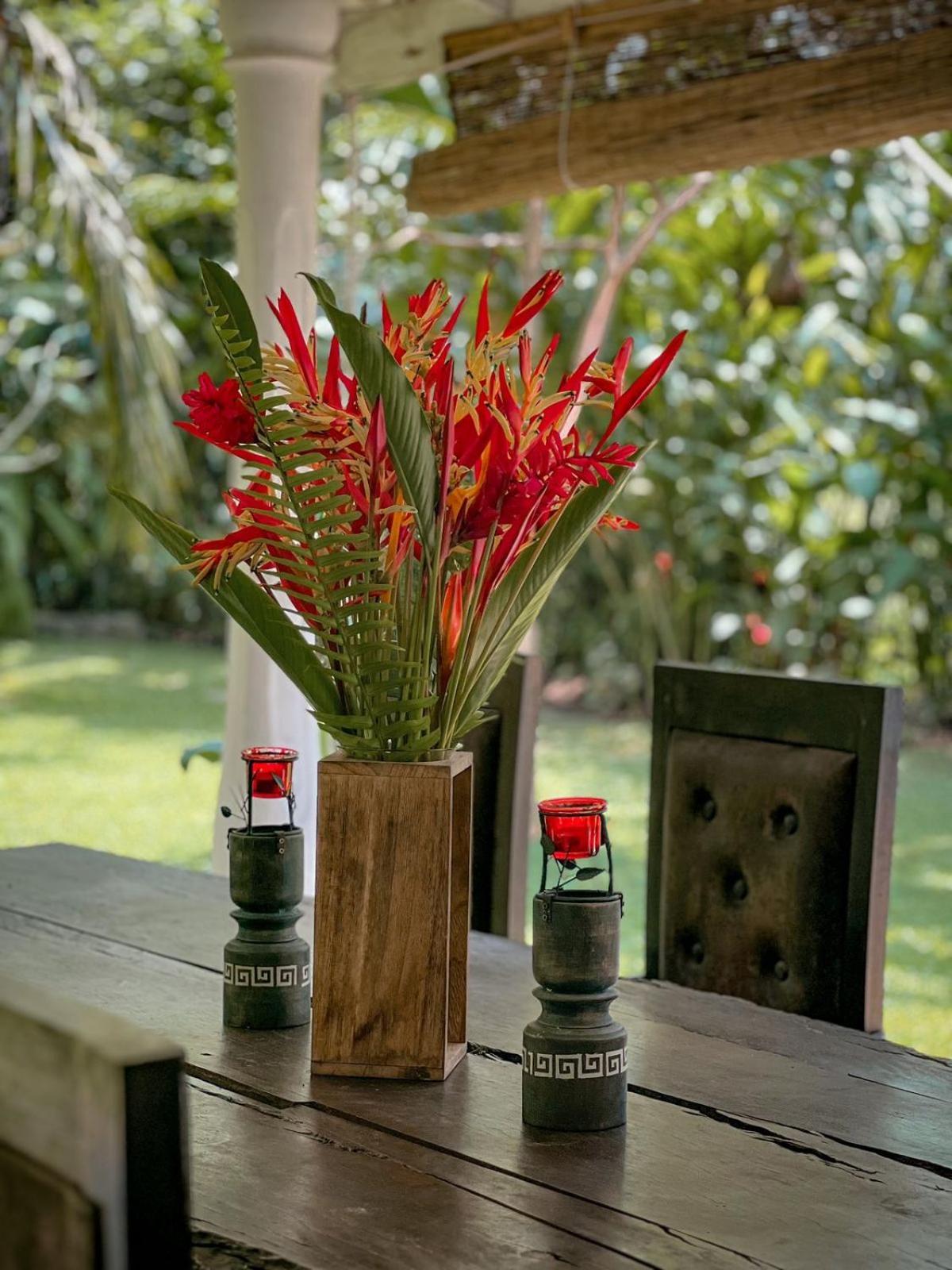 Medusa Bungalow - Galle Kültér fotó