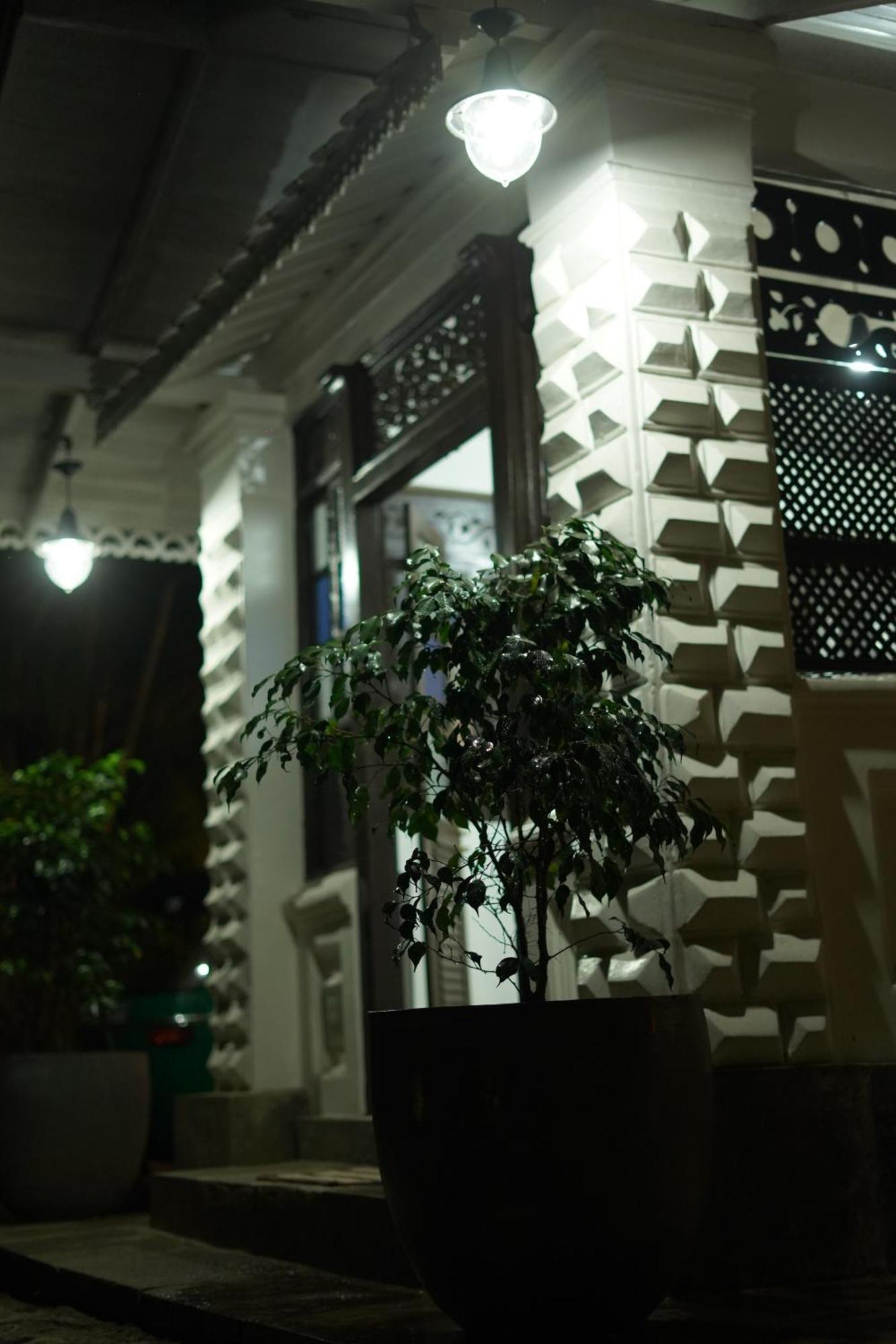Medusa Bungalow - Galle Kültér fotó
